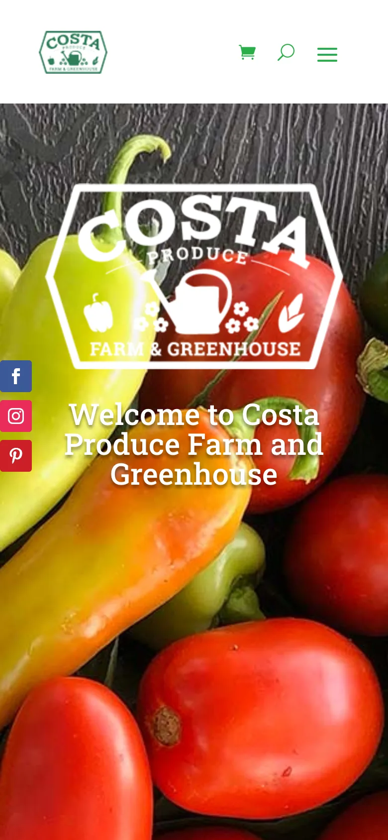 Costa Produce Farm's old website — a dated, static layout